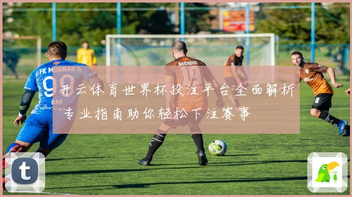 开云体育世界杯投注平台全面解析 专业指南助你轻松下注赛事