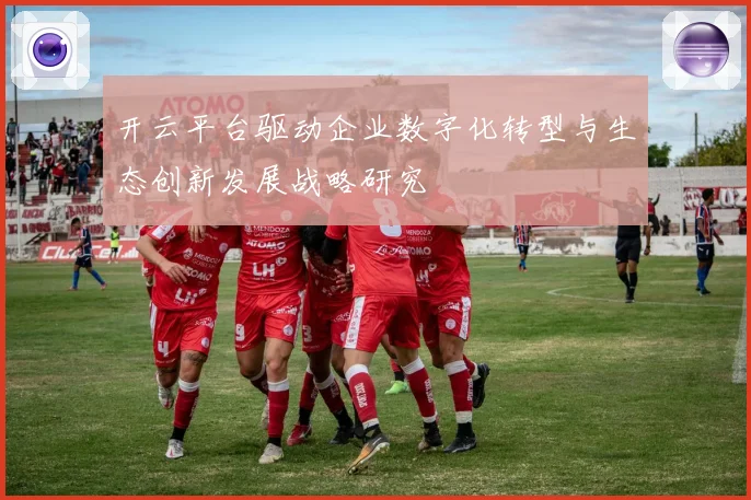 开云平台驱动企业数字化转型与生态创新发展战略研究